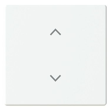 BJ 6735-11-884 Wippe 1-fach m.Symbol "Jalousie" Format 63