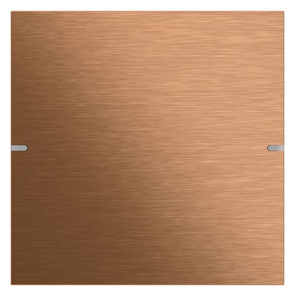 GIRA 502138 Wippenset 1fach Tastsensor4 TS4 Bronze