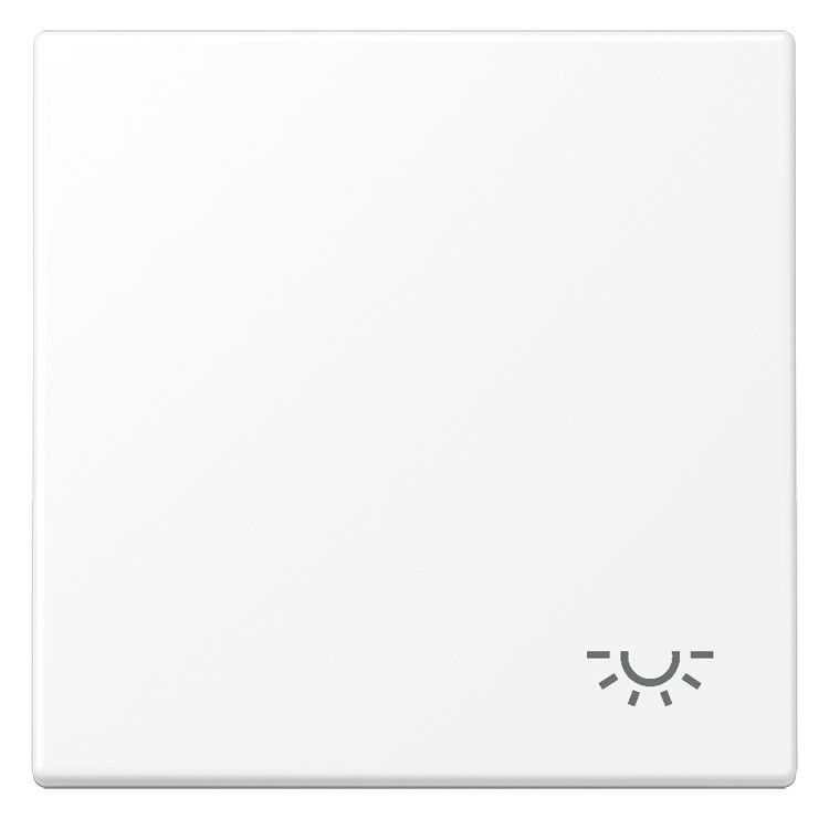 Jung LS 990 L WWM Wippe 1fach Symbol Licht Serie LS schneeweiß matt
