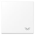 Jung LS 990 L WWM Wippe 1fach Symbol Licht Serie LS schneeweiß matt