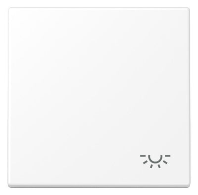 Jung LS 990 L WWM Wippe 1fach Symbol Licht Serie LS schneeweiß matt