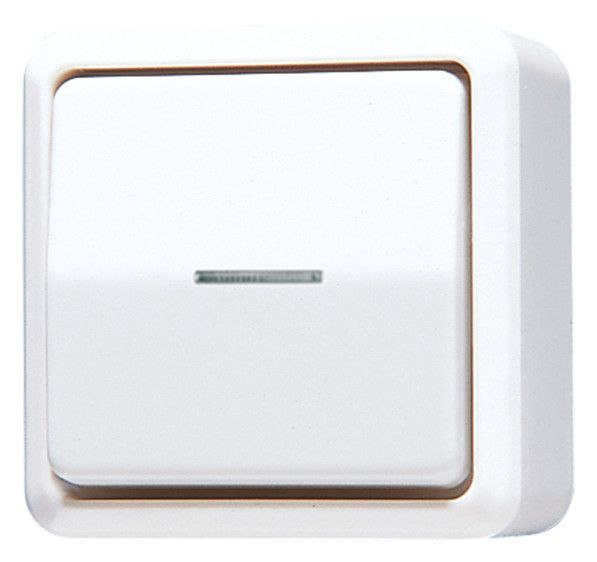 Jung 606KO5AWW AP-Wipp-Kontrollschalter Universal Aus-Wechsel AP600 alpinweiß