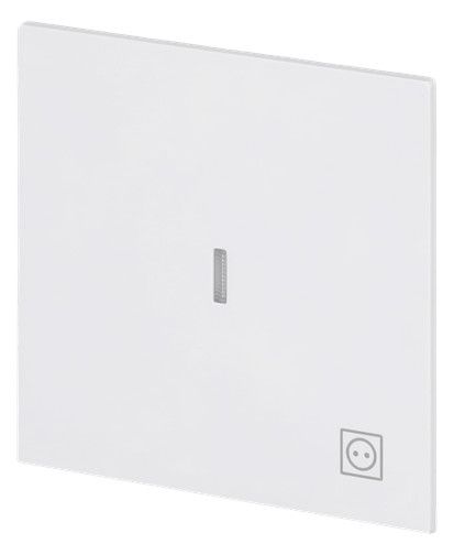 BJ 1789 ST-44G Wippe m.Symbol "Stecker" Mit transparenter Kalotte
