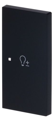 BJ 6234-22-45M Wippe 2-fach rechts m.Symbol "Dimmer"