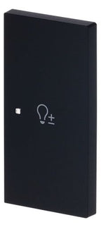 BJ 6234-22-45M Wippe 2-fach rechts m.Symbol "Dimmer"