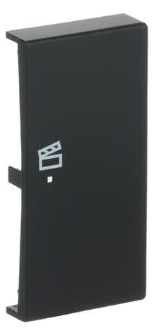 BJ 6233-22-885 Wippe/R 2f Szene schwarz matt Busch-free@home future linear