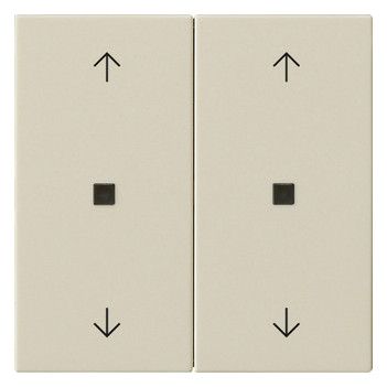 GIRA 538601 Wippe 2fach Pfeile KF System 55 Cremeweiß glänzend