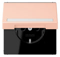 Jung LC1520BFNAKL234 SCHUKO-Steckd.KI m. Klappdeckel m.S
