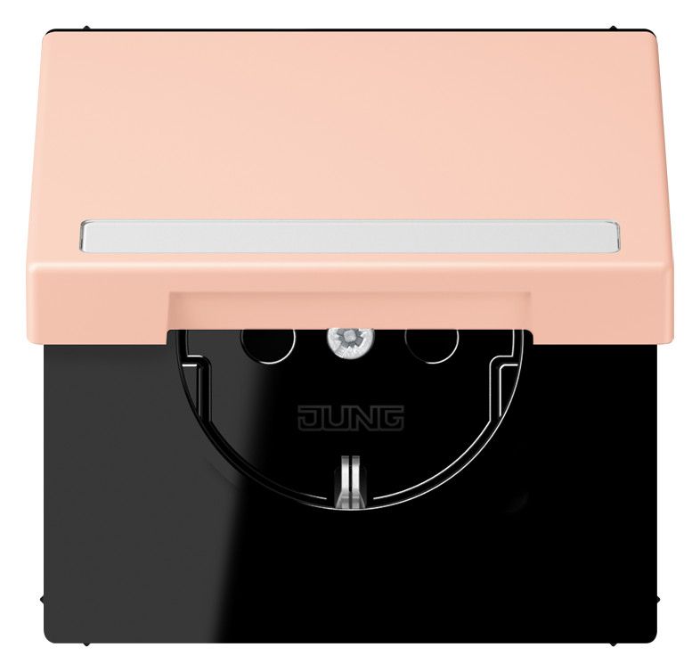 Jung LC1520BFNAKL234 SCHUKO-Steckd.KI m. Klappdeckel m.S