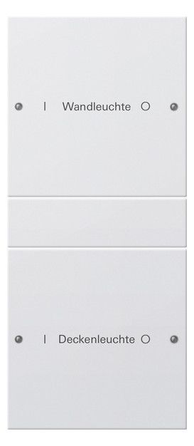 GIRA 220227 Wippenset 2fach (1+1) beschreib. System 55 Reinweiß seidenmatt