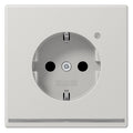 Jung LS1520-OLGLNW SCHUKO-Steckdose m.LED-Licht