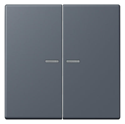 Jung LC102KO5262 Wippe m.Lichtleiter f.KNX Taster 2fa