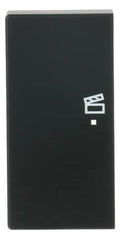 BJ 6233-21-885 Wippe/L 2f Szene schwarz matt Busch-free@home future linear