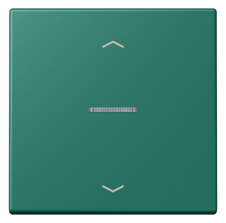 Jung LC101KO5P216 Wippe m.Lichtleiter u. Pfeilsymbolen