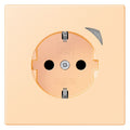 Jung BTLC1521S223 JUNG HOME SCHUKO Steckdose LC32060