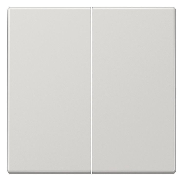 Jung LS102LG Wippe f.Serientaster