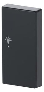 BJ 6231-22-81 Wippe rechts 2-fach Licht Busch-free@home anthrazit