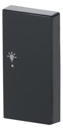 BJ 6231-22-81 Wippe rechts 2-fach Licht Busch-free@home anthrazit