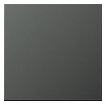 Jung AL2990AN Wippe LS Aluminium anthrazit