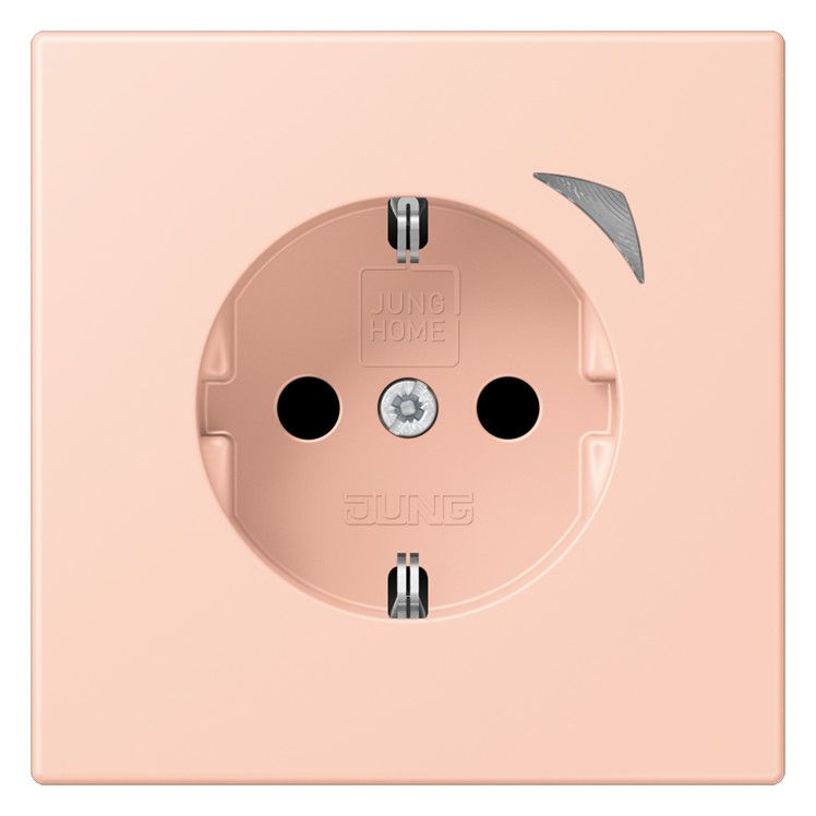 Jung BTLC1521S234 JUNG HOME SCHUKO Steckdose LC32112