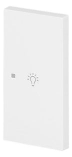 BJ 6231-22-44G Wippe 2-fach rechts m.Symbol "Licht"