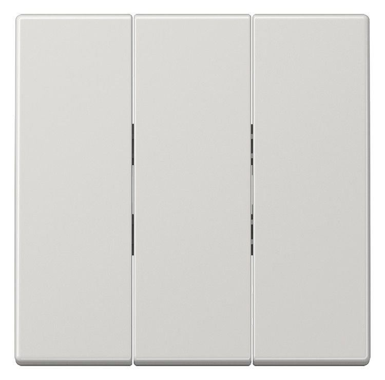 Jung LS993BFLG Wippe f.3fach Schalter lichtgrau