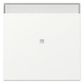 GIRA 367027 Wippe Kontrollfenster+BSF System 55 Reinweiß seidenmatt