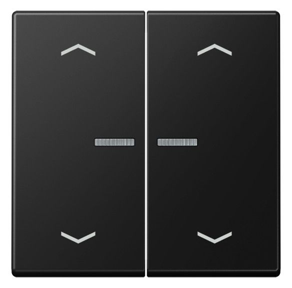 Jung A 102 KO5P BF SWM Wippe m.Lichtleiter m.Pfeilsymbolen f.KNX
