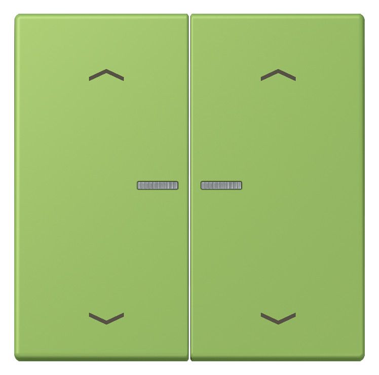 Jung LC102KO5P220 Wippe m.Lichtleiter u. Pfeilsymbolen