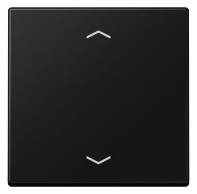 Jung A 101 P BF SWM Wippe m.Pfeilsymbolen f.KNX Taster 1f
