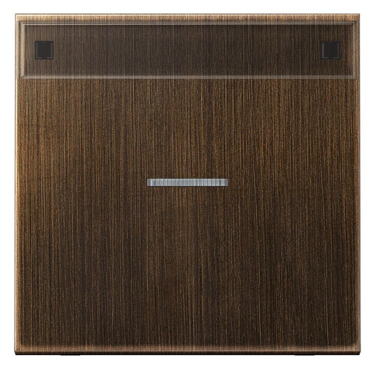 Jung ME2990NAKO5AT Wippe Schriftfeld m.Lichtleiter LS Messing antik