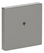 BJ 6231-10-866 Wippe 1f Licht edelstahl Busch-free@home pur Est