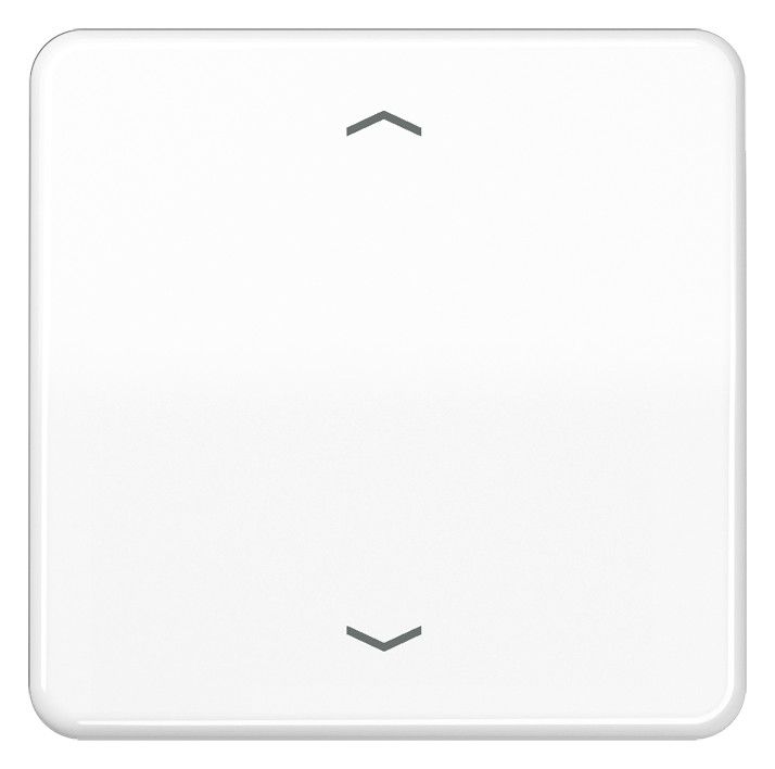 Jung CD101PWW Wippe f.Tasterpfeile