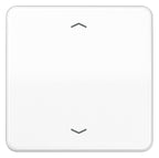 Jung CD101PWW Wippe f.Tasterpfeile