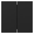 GIRA 3495005 Wippe 2fach gerade System 55 Schwarz matt (lackiert)