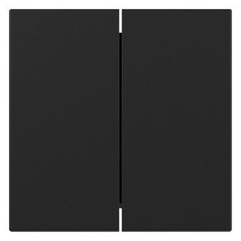 GIRA 3495005 Wippe 2fach gerade System 55 Schwarz matt (lackiert)