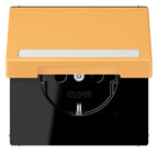 Jung LC1520BFNAKL254 SCHUKO-Steckd.KI m. Klappdeckel m.S