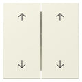 GIRA 329701 Wippe 2fach Pfeile System 55 Cremeweiß glänzend