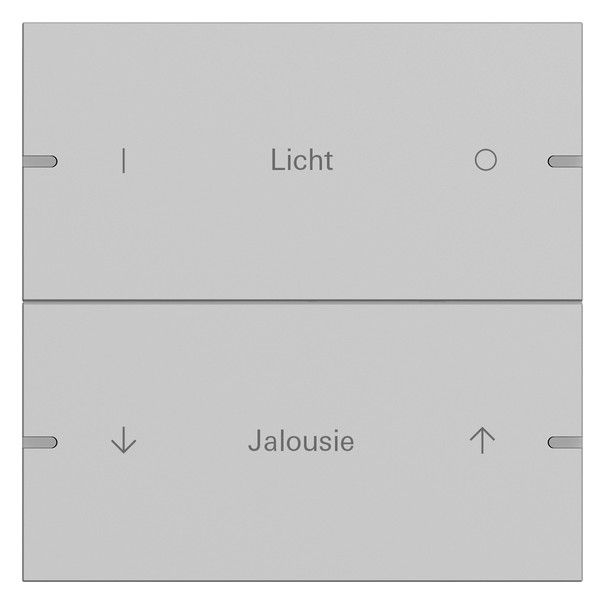 GIRA 5032915 Wippenset 2fach indiv. Tastsensor4 TS4 Alu Grau matt (lack.)