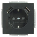 BJ 20 EUCB2USB-81 SCHUKO-/2x USB-Steckdose