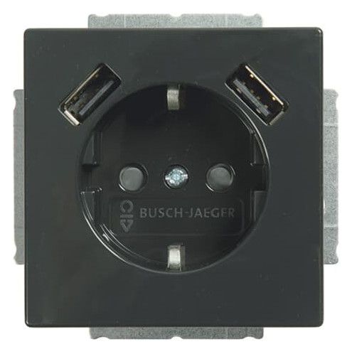 BJ 20 EUCB2USB-81 SCHUKO-/2x USB-Steckdose