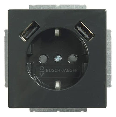 BJ 20 EUCB2USB-81 SCHUKO-/2x USB-Steckdose