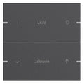 GIRA 5032928 Wippenset 2fach indiv. Tastsensor4 TS4 Alu Anthrazit (lack.)