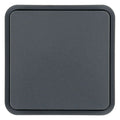 Berker 6130763545 Wippe 1fach f.W.1 Taster-BA grau