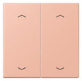 Jung LC102P231 Wippe m.Pfeilsymbolen f.KNX Taster 2