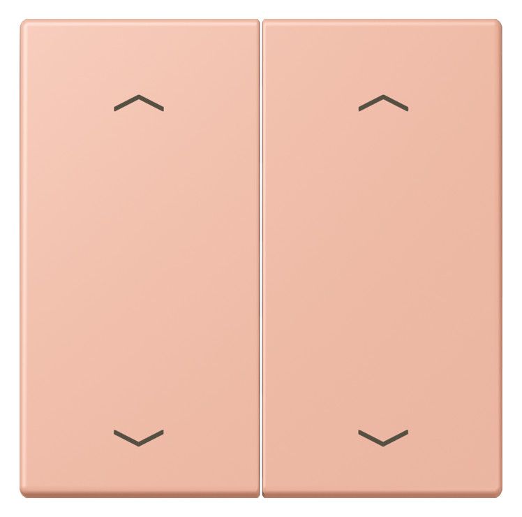 Jung LC102P231 Wippe m.Pfeilsymbolen f.KNX Taster 2