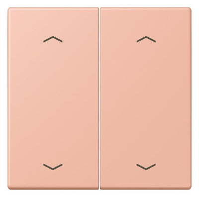 Jung LC102P231 Wippe m.Pfeilsymbolen f.KNX Taster 2