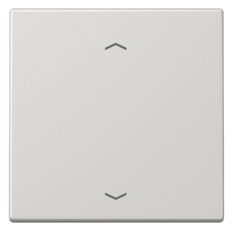Jung LS101PLG Wippe f.Tasterpfeile