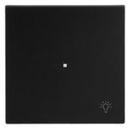 BJ 6231-10-45M Wippe 1-fach m.Symbol "Licht"