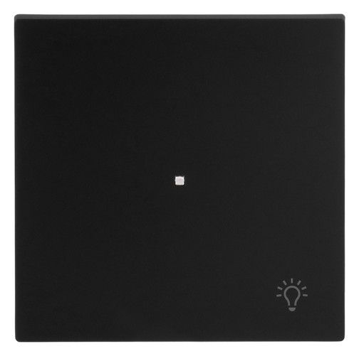 BJ 6231-10-45M Wippe 1-fach m.Symbol "Licht"